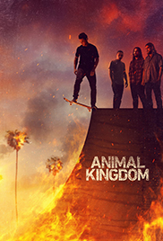 Animal Kingdom
