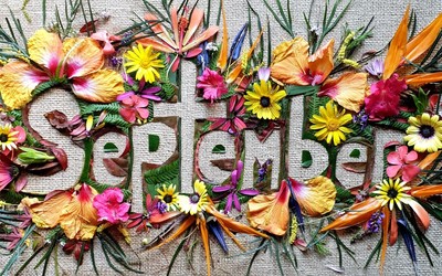 Zender van de maand september 2021